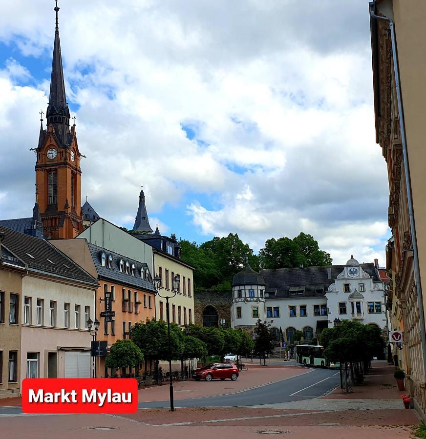 Ferienwohnung "Blick Mylau" - Naehe Freizeitpark Plohn & Weltgroesster Ziegelsteinbruecke Reichenbach im Vogtland Exterior photo