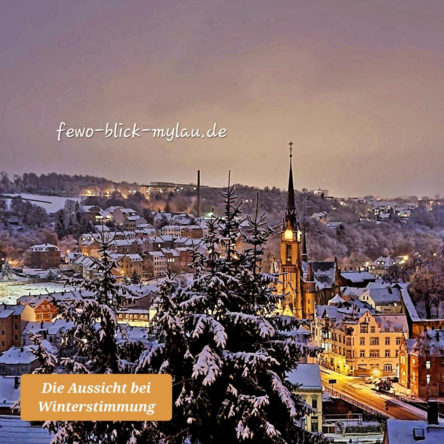 Ferienwohnung "Blick Mylau" - Naehe Freizeitpark Plohn & Weltgroesster Ziegelsteinbruecke Reichenbach im Vogtland Exterior photo